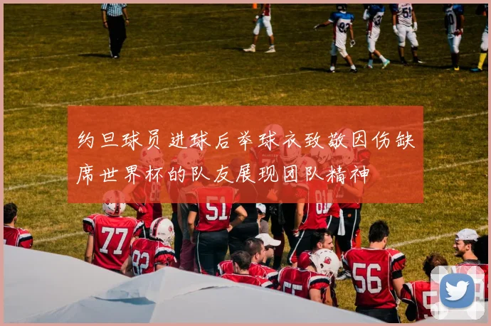 约旦球员进球后举球衣致敬因伤缺席世界杯的队友展现团队精神